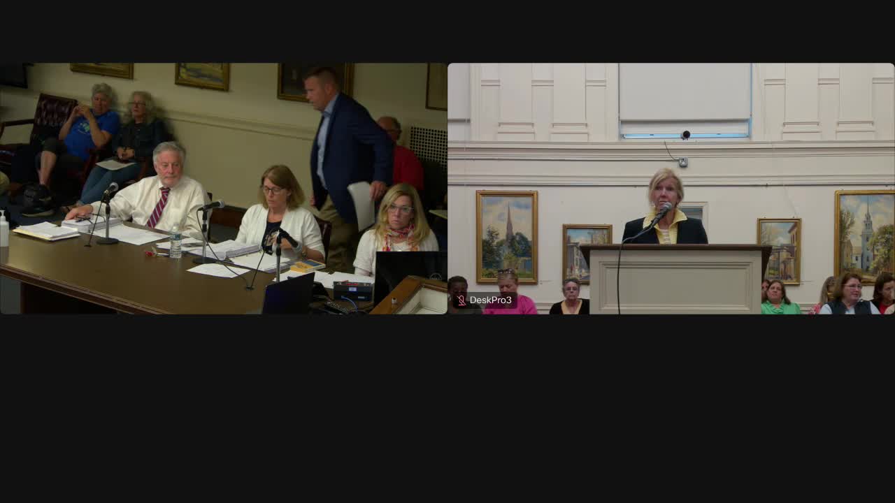 City Council debates eliminating deputy city manager position for schools funding