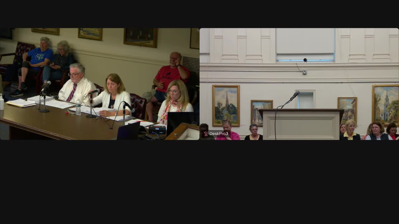 City Council debates additional funding for school budget amid zoning officer concerns