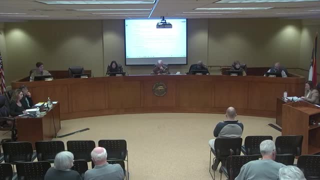 Lewisville holds public hearing on charter amendment to stagger council terms