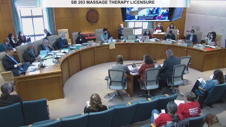 Representative Trujillo introduces crucial massage therapy legislation to committee