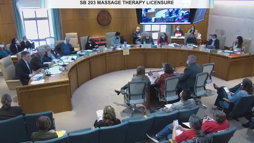 Senate committee advances bill to let officers petition extreme‑risk firearm orders and require immediate gun relinquishment