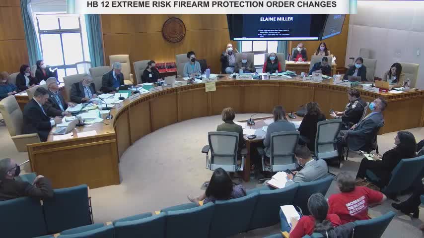 Committee reviews firearm retrieval law addressing threats to public safety