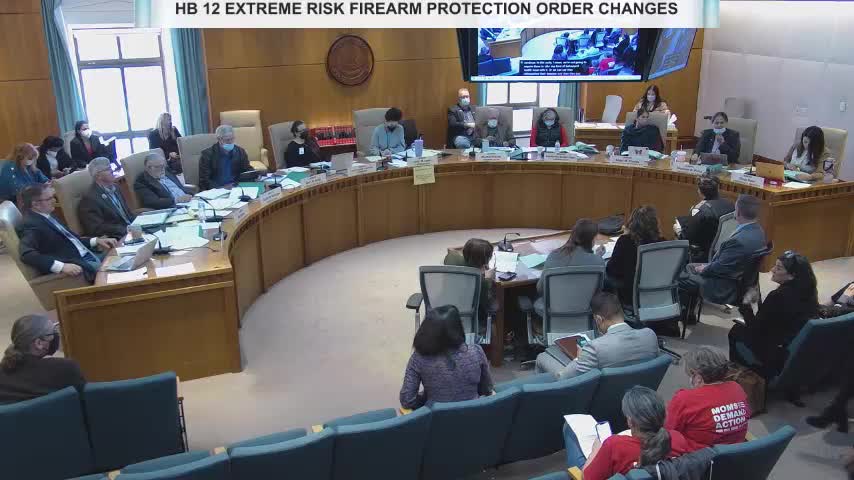 New Mexico Senate reviews bill on court-ordered treatment for abused children