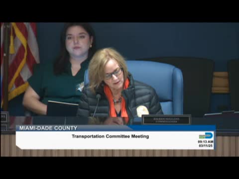 Committee asks CITT to restore 11 projects to five-year plan, flags safety gaps at Metrorail/Mover stations