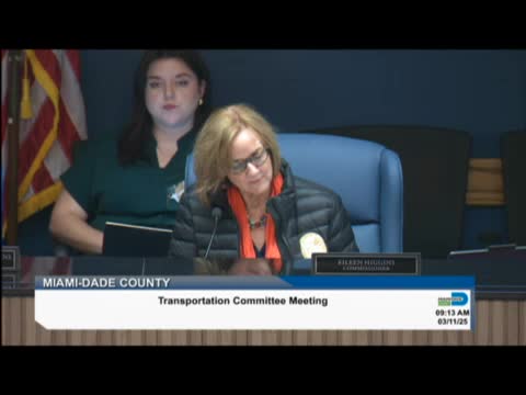 Committee urges CITT to restore 11 projects to five-year plan, cites safety needs at Metrorail/MetrorMover stations