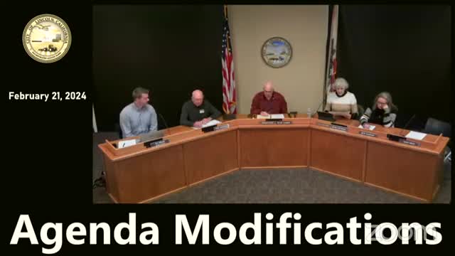 Planning Commission elects Michelle Hutchison as chair and discusses vice chair nominations