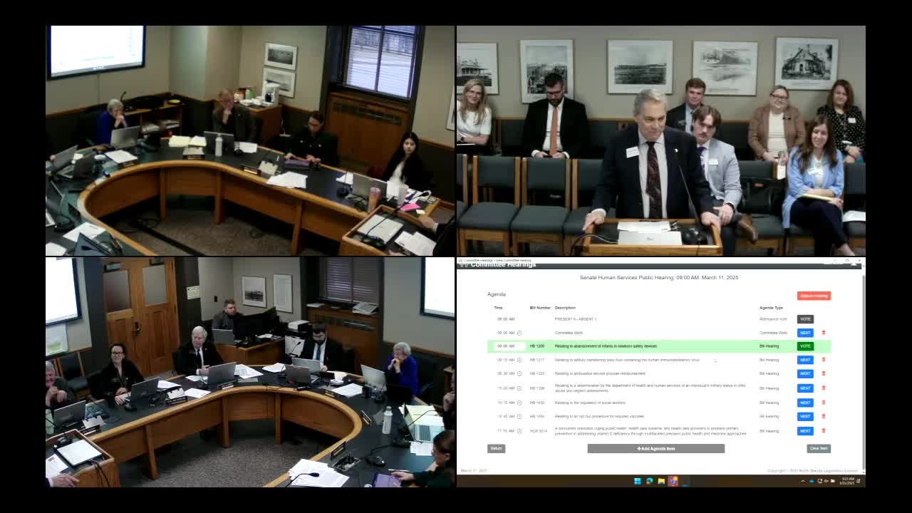 Senators Discuss Legal Complexities of Anonymous Adoptions and Child Safety Measures