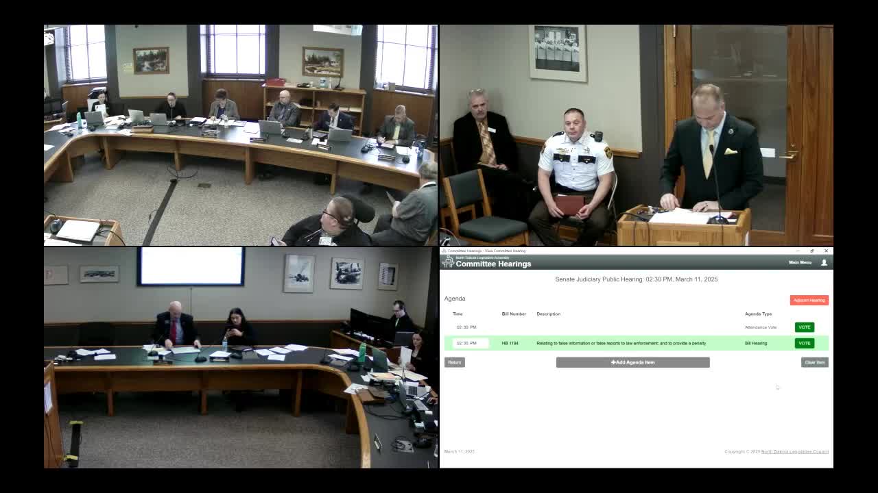 Senate Committee reviews penalties for false reports to law enforcement