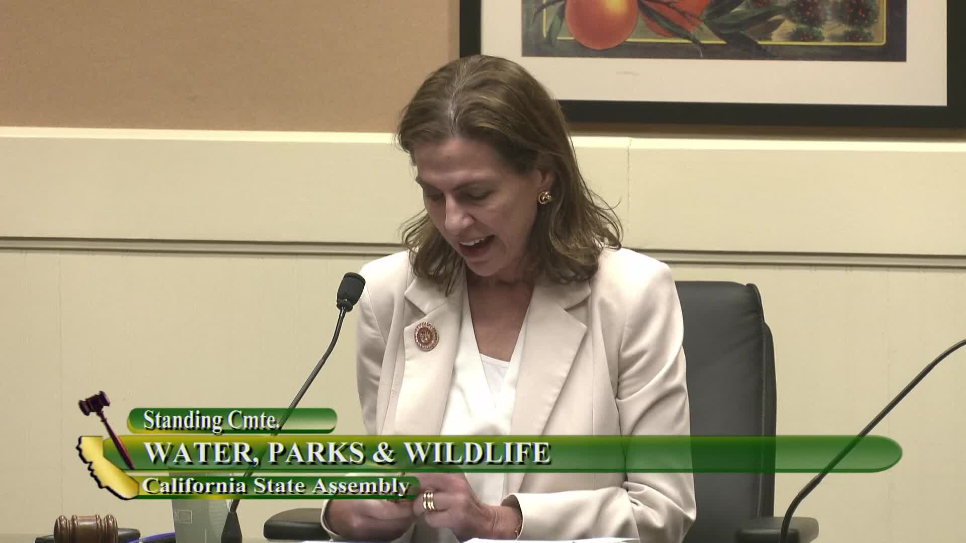 California Assembly hears flooding threats and management strategies for resilience