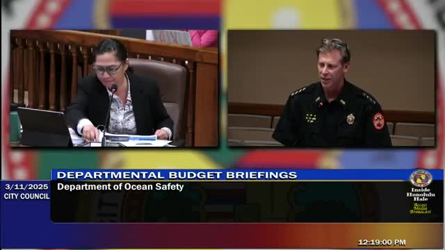 Hawaii Council discusses new lifeguard towers and rescue unit expansion plans