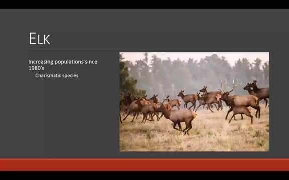 NGPC collaring data show wide elk movements; agency still in herd-reduction phase for many units