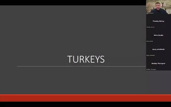 NGPC: Turkey populations down; spring and fall permit rules tightened, brood survey shows modest rebound