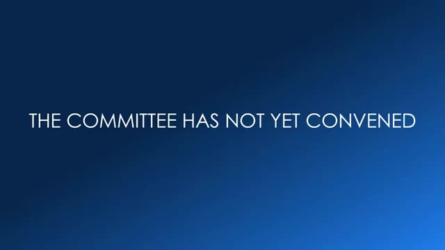 CitizenPortal.ai - Senate committee reviews SJR 10 urging action on ...