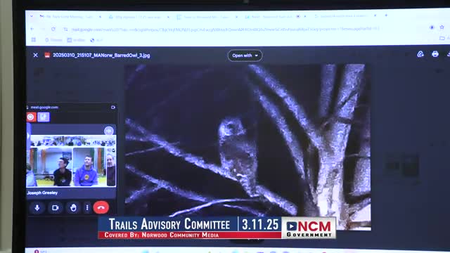 Local Resident Observes Barn Owl and Possum in Backyard Encounter