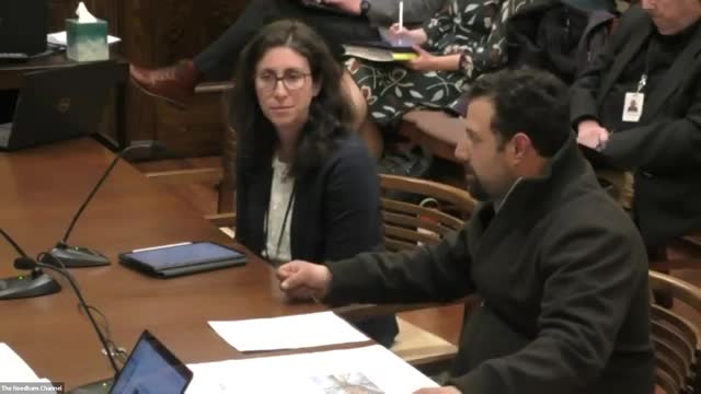 Needham plans tree replacement and infrastructure upgrades amid flooding concerns