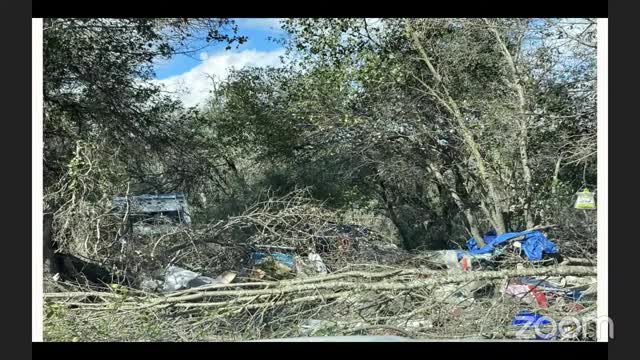 City Council approves $213K contract for property cleanup and demolition