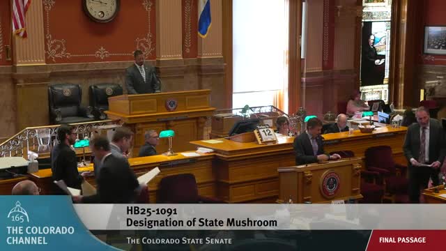 Senators debate symbolic inclusion in new legislation amid tension