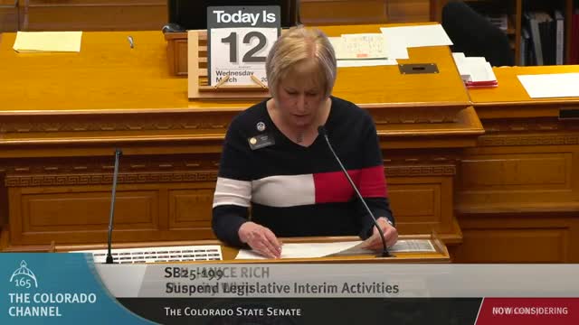 Senate debates civics education funding amendment amid budget concerns