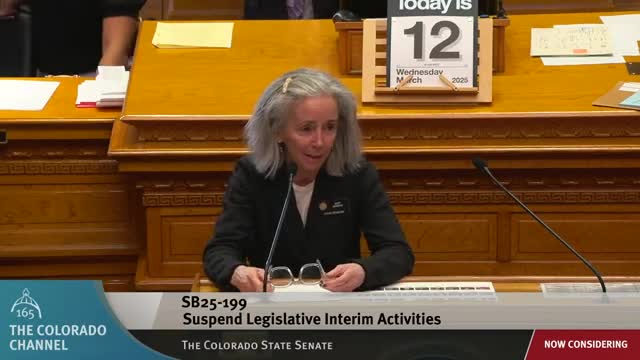 Committee tackles mental illness and criminal justice for adults and youth