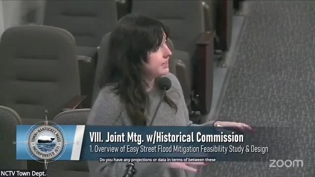 City officials discuss flood resilience strategies for Easy Street elevation project