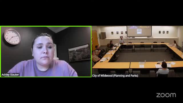 Council explores solutions for Zoom voting and endorsement processes