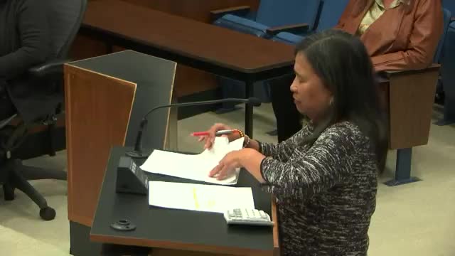 City Council holds first public hearing on housing and development action plan