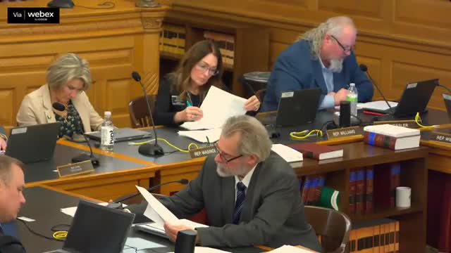 Kansas committee reviews key amendments for rural mall star bond project approval