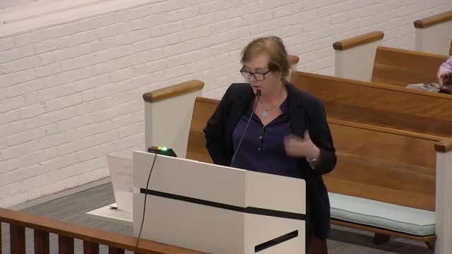 Residents voice opposition to city's ADU zoning feedback process