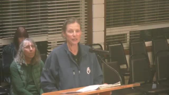 Crescent City Pool Board seeks $10000 funding to cover propane costs and expand programs