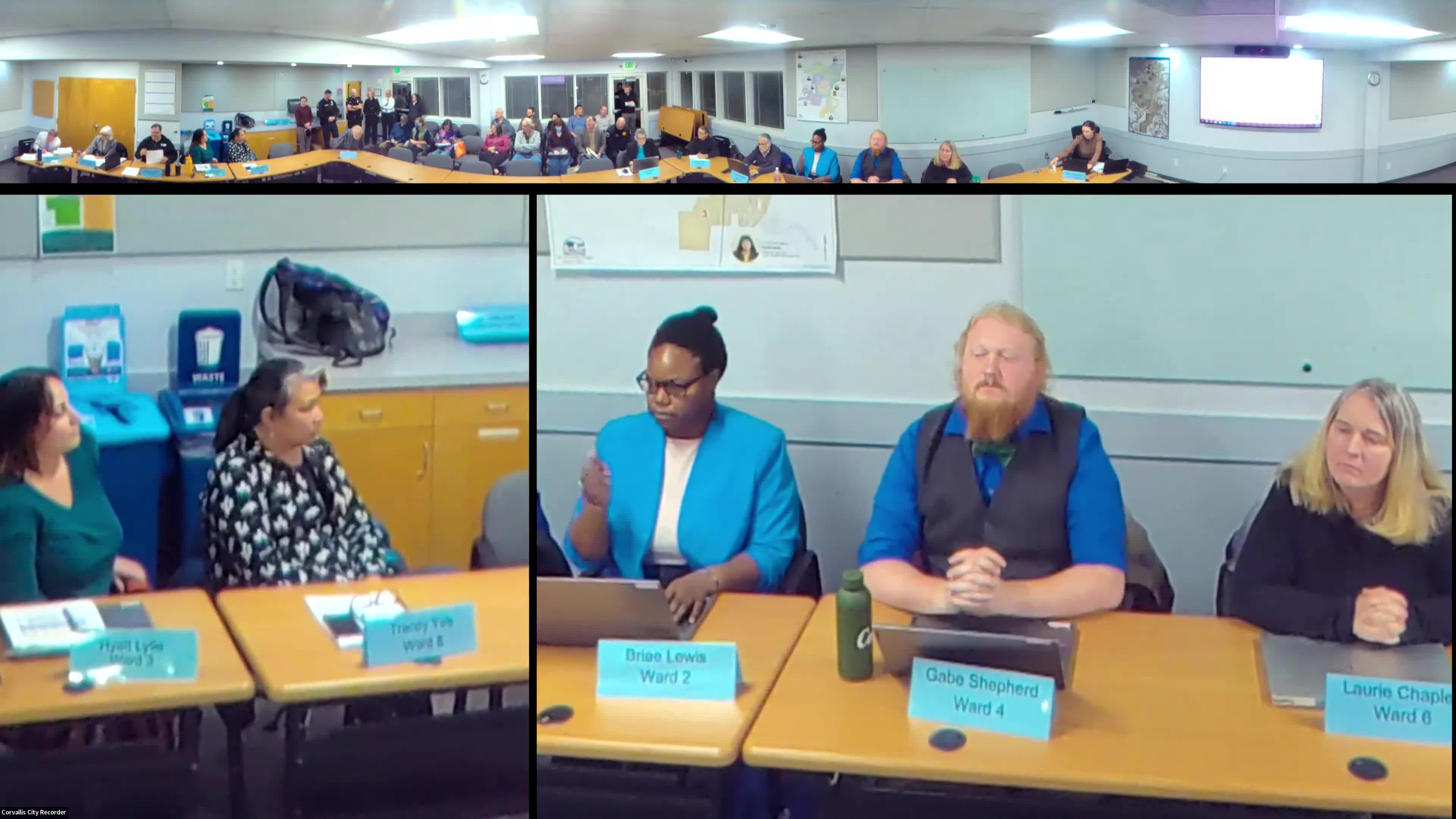 Architect advocates for flexible building design at city meeting