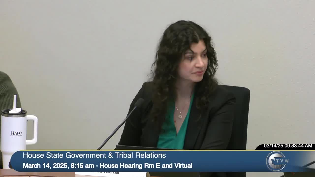 Committee reviews national military/overseas voting standards and debates secure electronic ballot return for UOCAVA voters