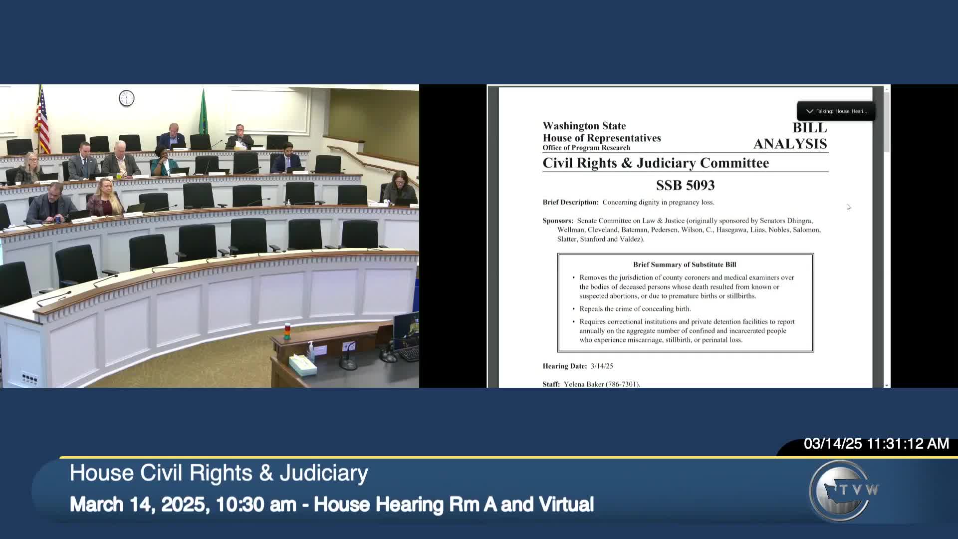 Committee hears bill to remove coroner jurisdiction and repeal 'concealing birth' statute