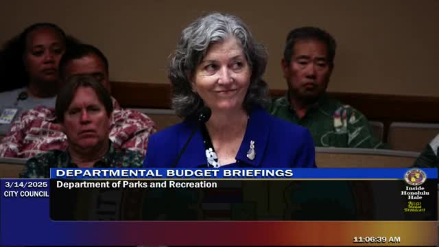 Salt Lake board advocates for park security cameras amid rising break-ins