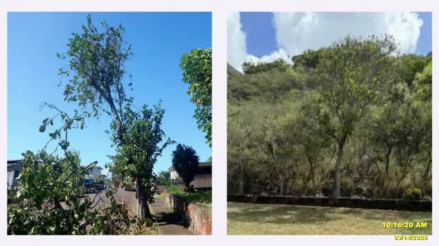 Honolulu plans firebreaks and park improvements for Kailua and Kapolei residents