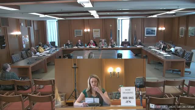 Mental health advocates oppose New Hampshire's House Bill 285 on parental rights