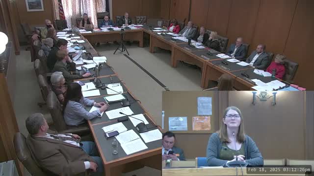 Nick Taylor addresses housing affordability at New Hampshire committee meeting