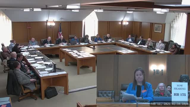 Committee closes public hearing on House Bill 175 after mixed support