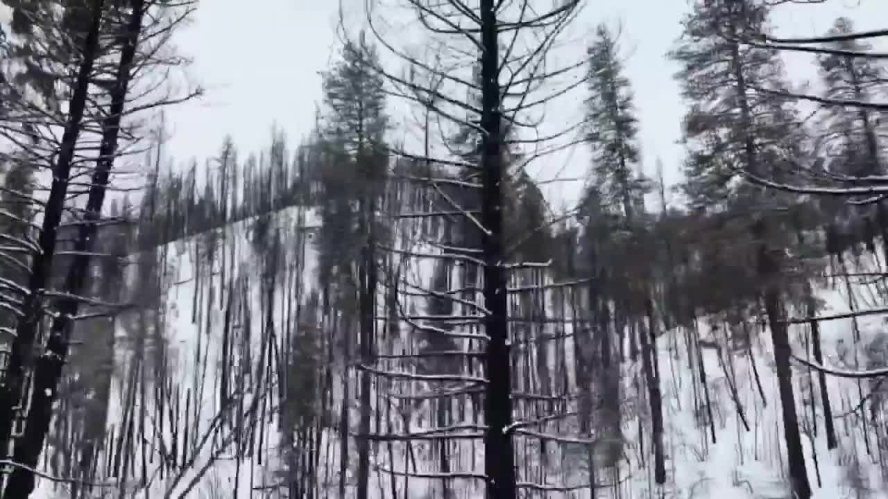 Mark Mahon outlines timber salvage plans in Payette National Forest fire recovery