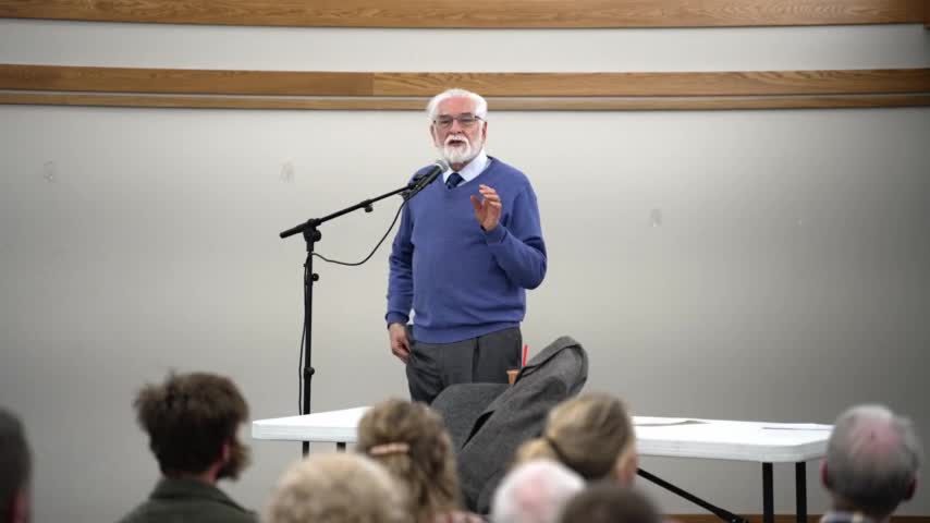 Discussion highlights pine needle tea and immune system support for long COVID recovery