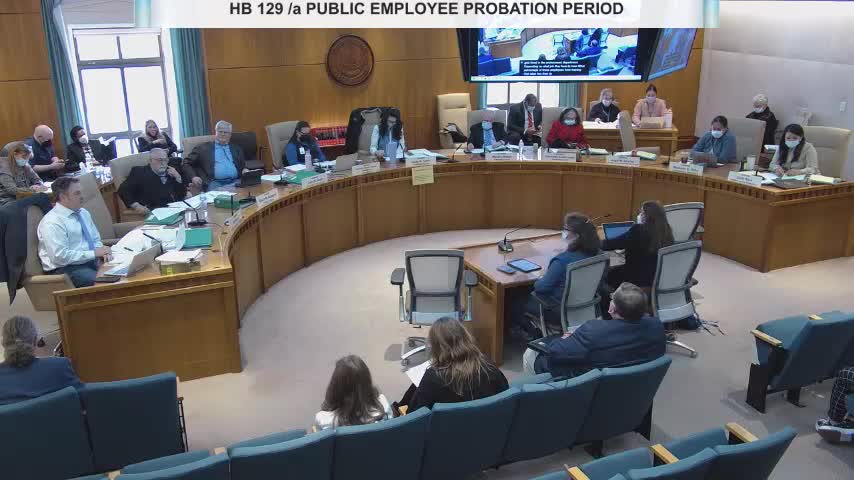 Senate committee debates six-month probation period for Air Force trainers