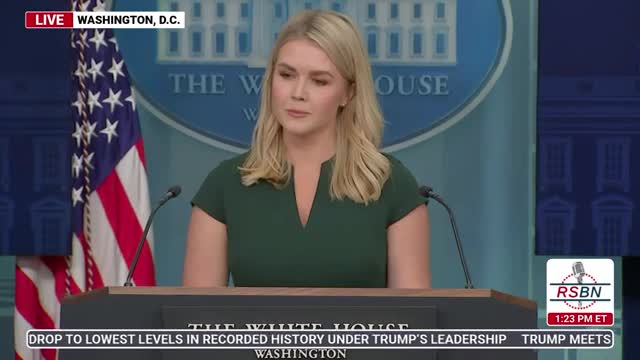 Trump rejects French proposal to return Statue of Liberty