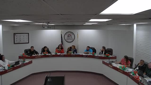 City officials discuss appointing experienced finance director amid budget concerns