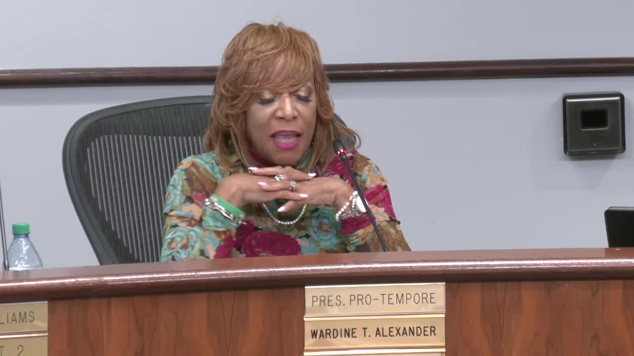 Council and mayor debate illegal dumping, street excavation and camera use; transportation committee to press utilities