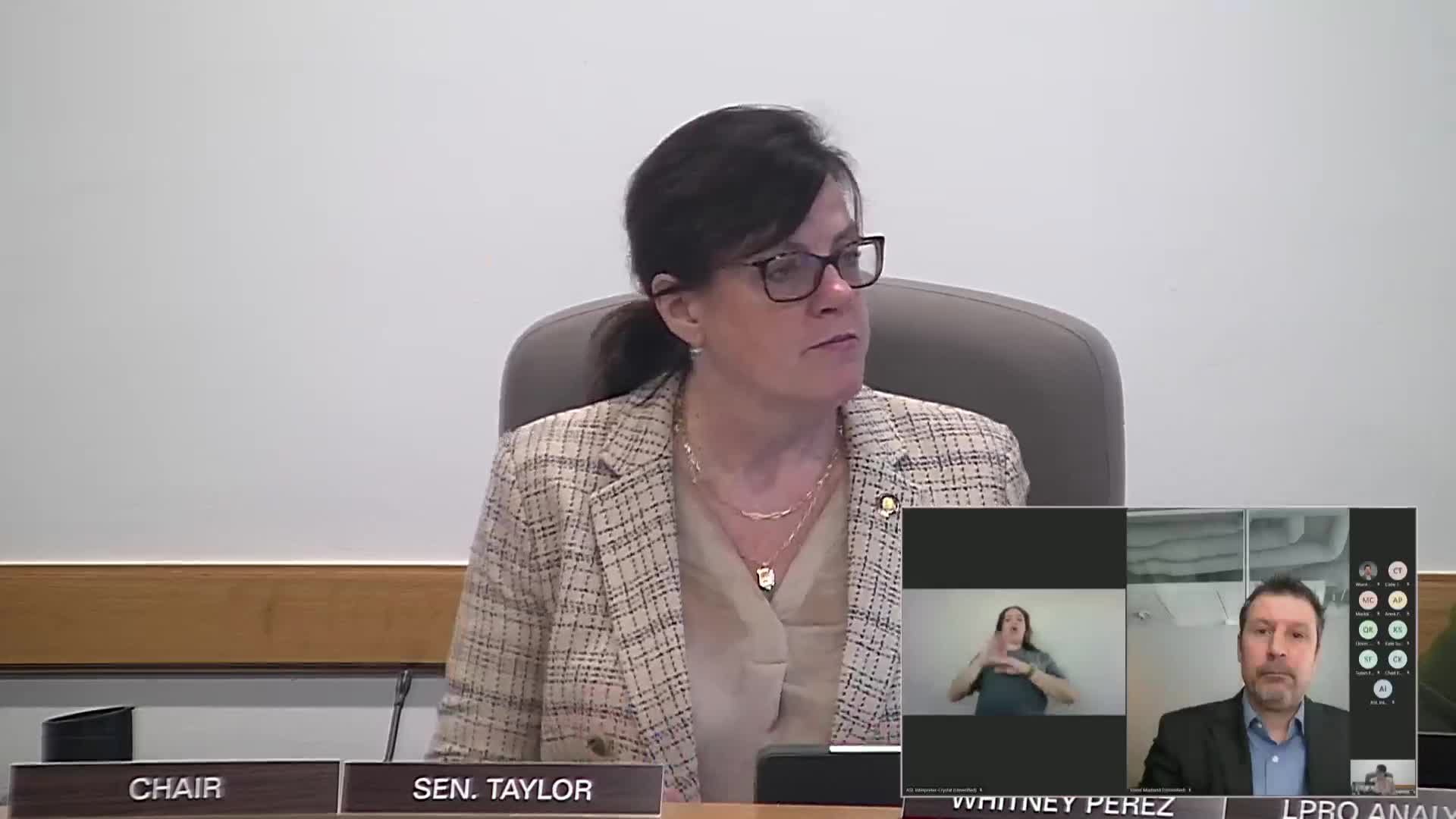 Informational hearing on home‑and‑community care standards board prompts debate over scope, funding