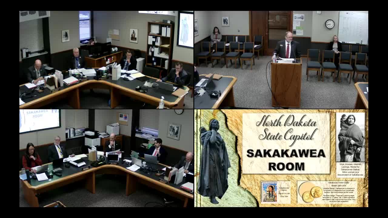 Senate committee discusses funding for historic theater and community grants