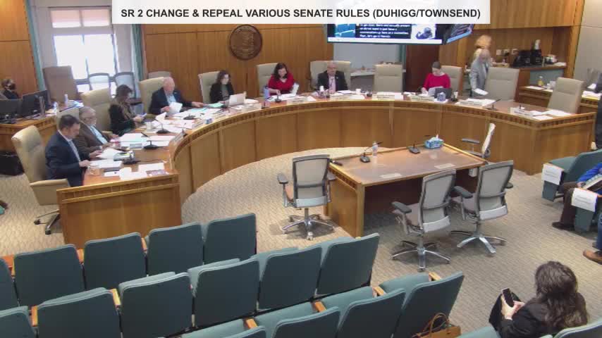 Senate committee clears SR 2 package to align internal rules with practice