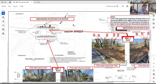 Water Main Project on South Street Requires Removal of 15 Trees for Stormwater Improvements