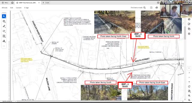 Needham hearing: 15 trees to be removed for South Street water‑main and stormwater work; town plans to replace trees