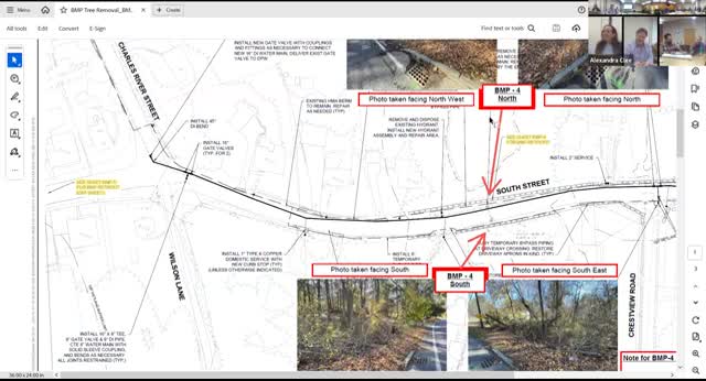 Superintendent Olsen proposes tree management plan for Needham's invasive species removal