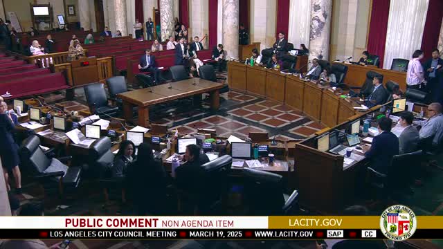 Los Angeles City Council faces criticism over disaster relief and homelessness issues